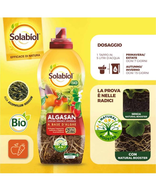 Concime Algasan bio 1lt - Solabiol