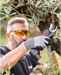 Forbice PS 23-25 Faster a batteria da potatura - Blue Bird