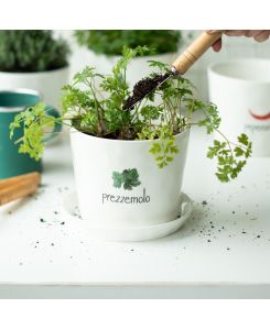 Vaso Prezzemolo - Simple Day