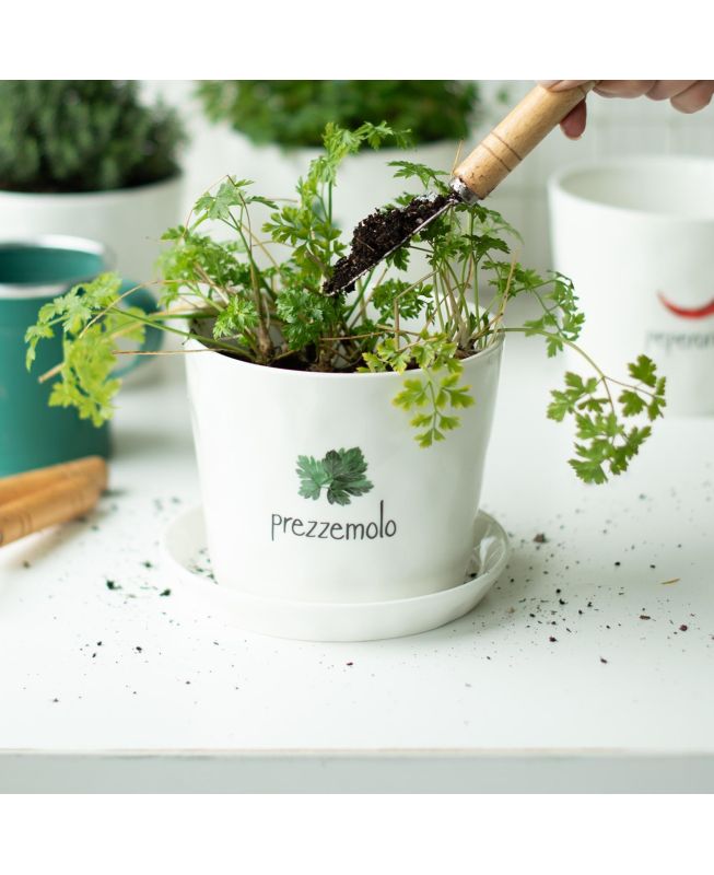 Vaso Prezzemolo - Simple Day