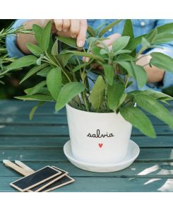 Vaso Salvia Cuore - Simple Day