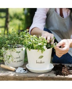 Vaso Basilico - Simple Day