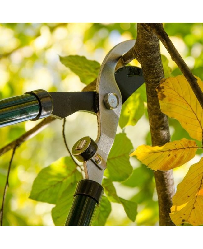 Cesoia tagliasiepi telescopica 61/91cm